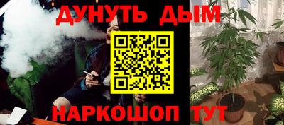 стаф Новодвинск