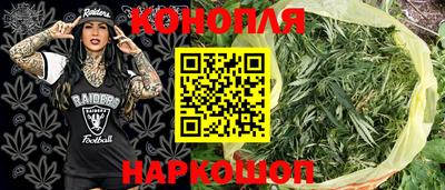 соль ск Новокубанск