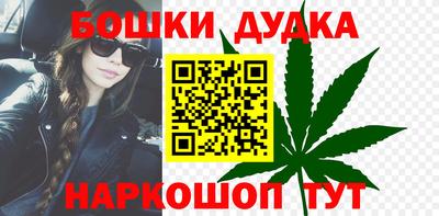 стаф Новодвинск