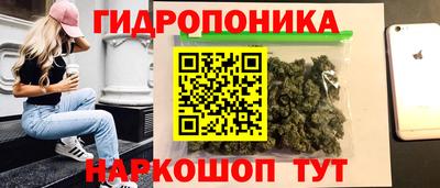 мет Новозыбков