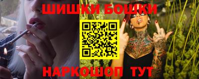 стаф Новодвинск