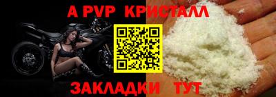 стаф Новодвинск