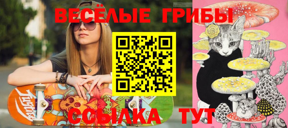 Псилоцибиновые грибы мицелий  Вход с VPN  Псилоцибиновые грибы прущие грибы  Октябрьский 